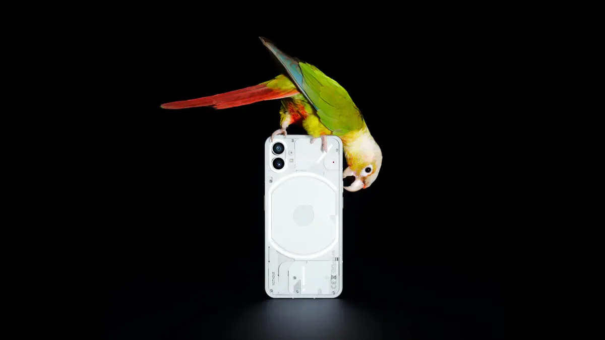 Main Image