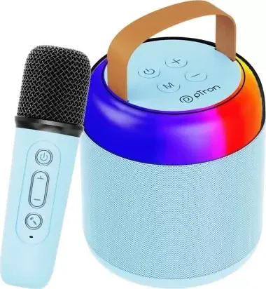pTron Funk Mojo 16W Bluetooth Speaker