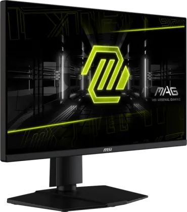 MSI MAG 255PXF 25 inch Full HD Gaming Monitor