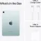 Apple iPad Mini (512GB + Wi-Fi Only)