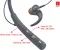 iBall Earwear Base Neckband