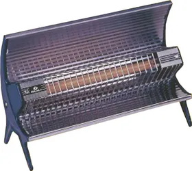 Bajaj Flashy Radiant Room Heater