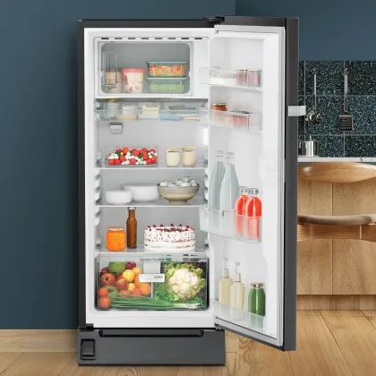 Liebherr DFBbsD 1925 191 L 4 Star Single Door Refrigerator