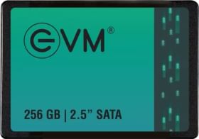 EVM SATA 256 GB Internal Solid State Drive