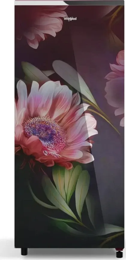 Whirlpool 230 Impro GD ROY 5S Inv Night Bloom