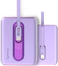 Lifelong MiniCharge 10000 mAh Power Bank