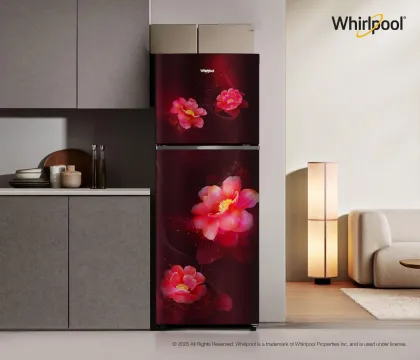 Whirlpool NEO SP278 PRM Wine Rose-Y 235 L 2 Star Double Door Refrigerator