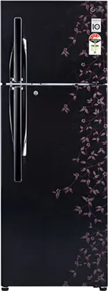 LG C-282 RPCL 255 L Double Door Refrigerator
