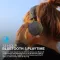 JLab Neon Wireless Headphones