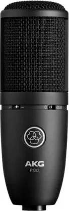 AKG P120 Micrphone - image 2