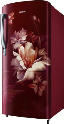 Samsung RR20H2723RZ 183 L 3 Star Single Door Refrigerator