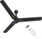 Polycab Wizzy Neo LED 1200 mm 3 Blade BLDC Ceiling Fan
