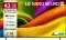 LG AI NANO NU87 43 inch Ultra HD 4K Smart LED TV (43NU870BPLA)