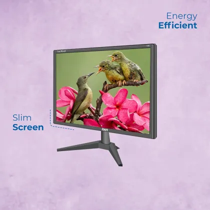 Foxin FM 1750 17.1 inch HD Monitor