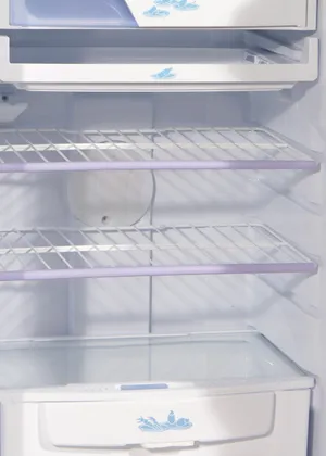 Godrej RD Edge 185CW 5.1 185 L Single Door Refrigerator