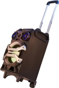 Blaupunkt PS-51 50W Portable Bluetooth Party Speaker