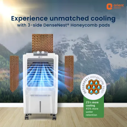 Orient Electric Dura Chill 40 L Personal Air Cooler