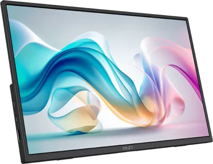 MSI Pro MP165 E6 15.6 inch Full HD Portable Monitor