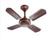 Flipkart SmartBuy Venus DLX 600 mm 4 Blade Ceiling Fan