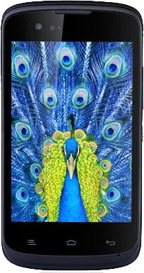 Gionee CTRL V1