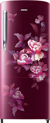 Samsung RR20C2724HN 183 L 4 Star Single Door Refrigerator