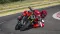 Ducati Monster