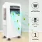 Casa Copenhagen CCCRM234E24 75 L Desert Air Cooler