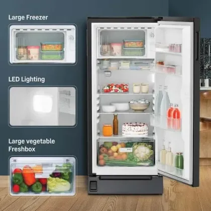 Liebherr DFPbgC 1931 191 L 3 Star Single Door Refrigerator