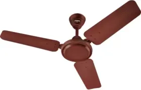 Eveready Fab 900mm 3 Blade Ceiling Fan