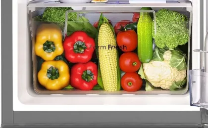 Godrej RD R190BN TRF ST GR 183 L 2 Star Single Door Refrigerator
