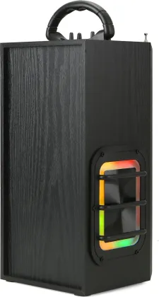MZ M442SP 20W Bluetooth Speaker