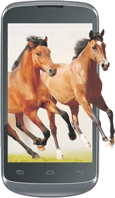 Celkon Campus A20