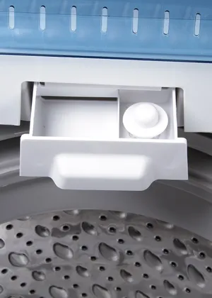 IFB AW60-205T 6 kg Fully Automatic Top Load Washing Machine