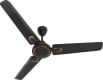 Polycab Superb Plus 1200 mm 3 Blade Ceiling Fan