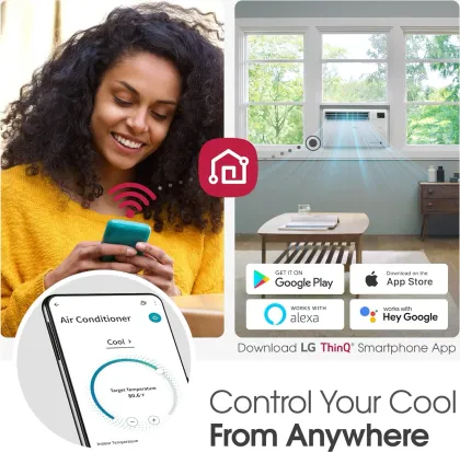 LG LW1022FVSM 10000 BTU 115V Inverter Window AC