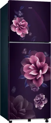 Samsung RT40H28W1CP 236 L 1 Star Double Door Refrigerator
