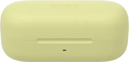 Sony WF-C510 True Wireless Earbuds