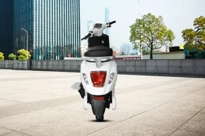Birla e-bike Ambition
