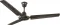 Orient Electric Ujala 1200 mm 3 Blade Ceiling Fan