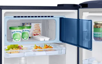 Samsung RR23D2E23UZ 215 L 3 Star Single Door Refrigerator