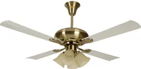 Usha Fontana Orchid 1280 mm 4 Blade Ceiling Fan