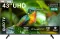 Croma CREL043UGQ024652 43 inch Ultra HD Smart QLED TV