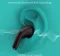iGear Sonic True Wireless Earbuds