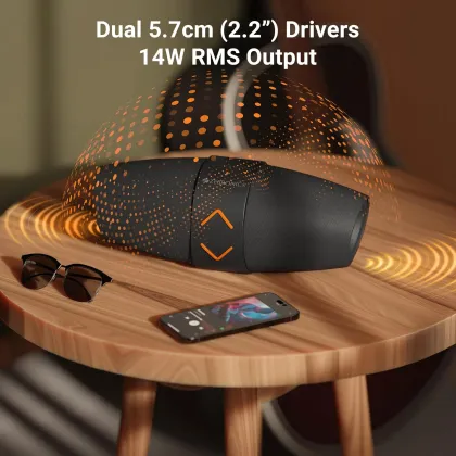 Zebronics Sound Feast 55 14W Bluetooth Speaker