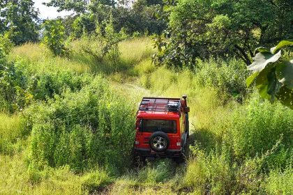 Force Gurkha 3 Door