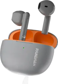 Meizu Pandaer Air True Wireless Earbuds