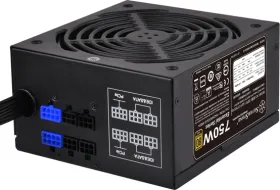 SilverStone ET750-HG 80 Plus Gold 750 Watts Semi-Modular PSU