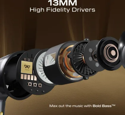 Wings Flobuds 300 True Wireless Earbuds