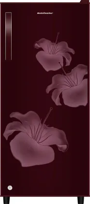 Kelvinator KRD-A210MRP 190 L 2 Star Single Door Refrigerator