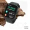 PTron Reflect Ace Smartwatch